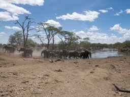 Western_Corridor2009-23